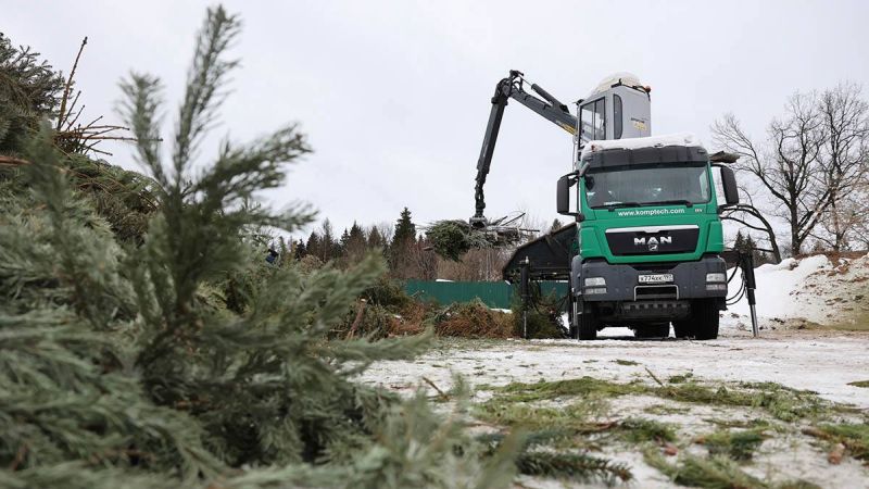 Москвичи сдали более 14 тысяч хвойных деревьев в рамках акции «Елочный круговорот»